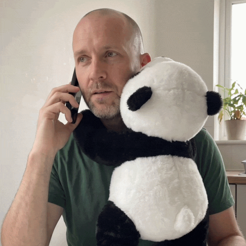 Panchi the weighted panda