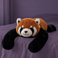 Cinna the Red panda